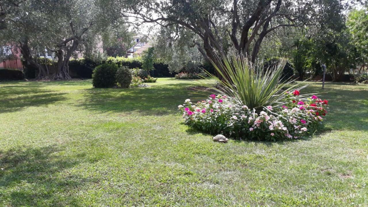 Apartmani Seka Vodice Kültér fotó